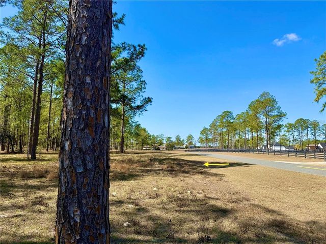 35135 PINEGATE TRAIL, Eustis, FL 32736