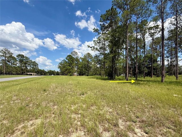 35135 PINEGATE TRAIL, Eustis, FL 32736