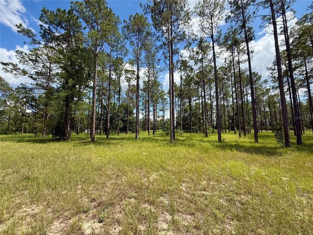 35135 PINEGATE TRAIL, Eustis, FL 32736