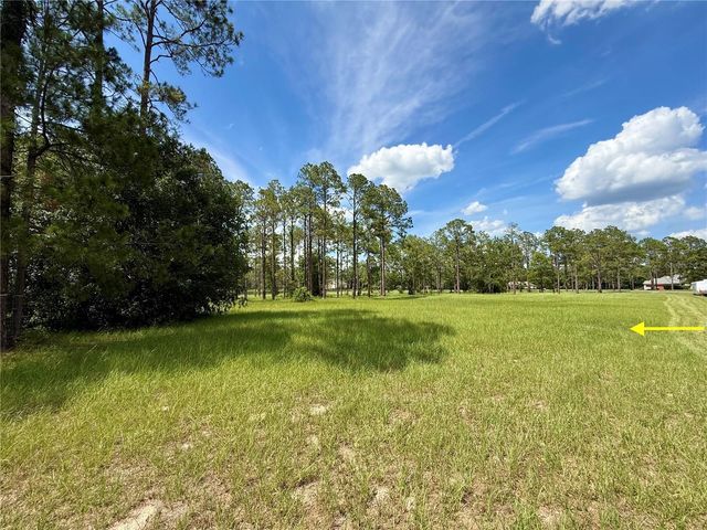 35135 PINEGATE TRAIL, Eustis, FL 32736