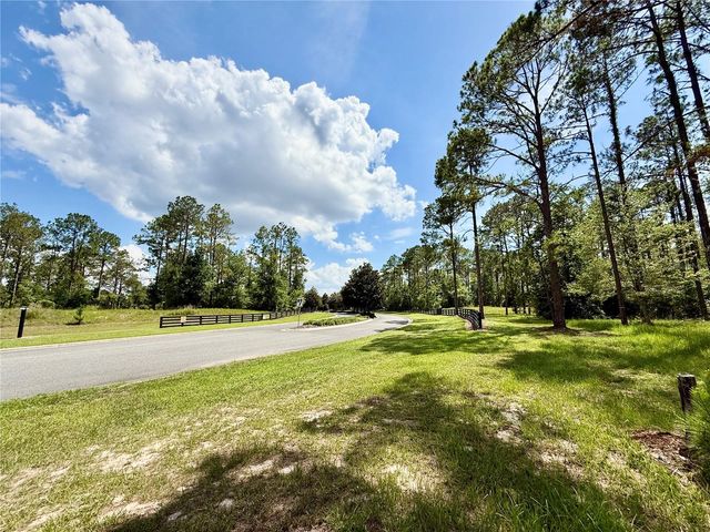 35135 PINEGATE TRAIL, Eustis, FL 32736