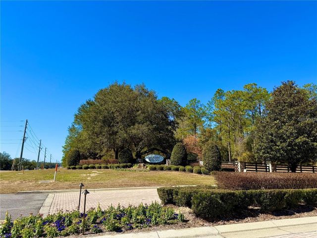 35135 PINEGATE TRAIL, Eustis, FL 32736
