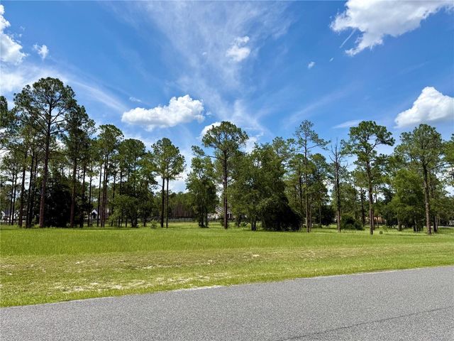 35135 PINEGATE TRAIL, Eustis, FL 32736