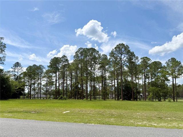 35135 PINEGATE TRAIL, Eustis, FL 32736