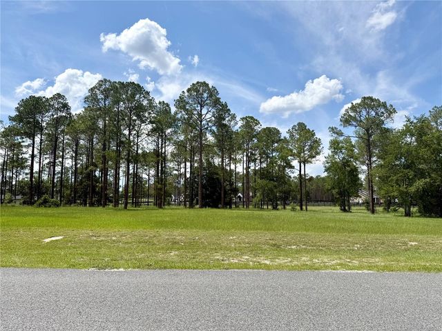 35135 PINEGATE TRAIL, Eustis, FL 32736