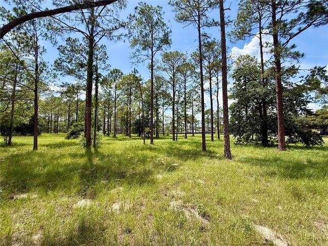 35135 PINEGATE TRAIL, Eustis, FL 32736