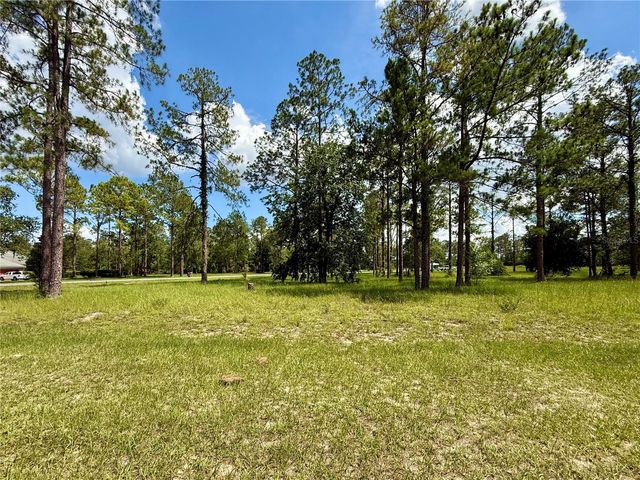 35135 PINEGATE TRAIL, Eustis, FL 32736