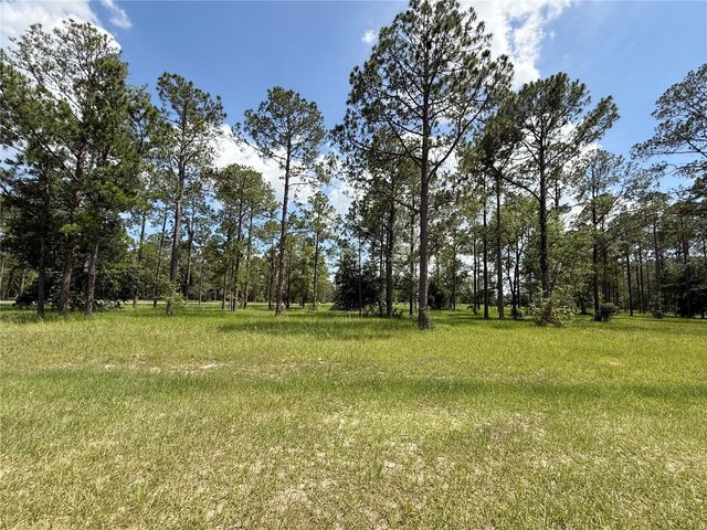 35135 PINEGATE TRAIL, Eustis, FL 32736