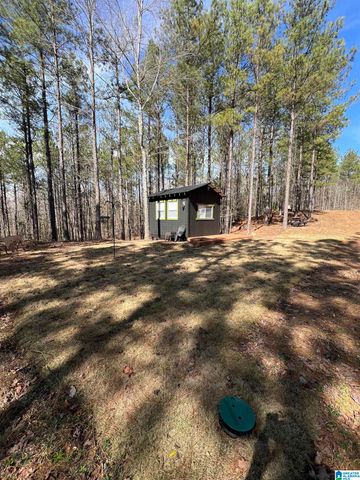 780 SWEET APPLE ROAD, Cropwell, AL 35054
