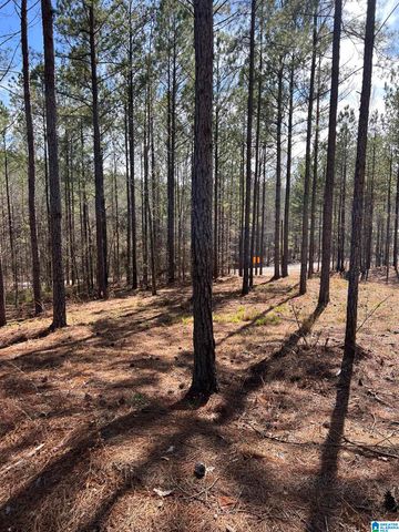780 SWEET APPLE ROAD, Cropwell, AL 35054