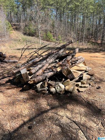 780 SWEET APPLE ROAD, Cropwell, AL 35054