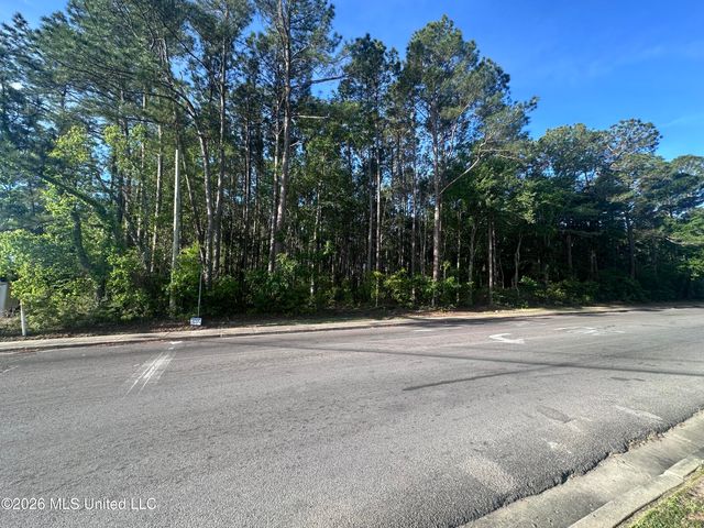 Martin Luther King Boulevard, Moss Point, MS 39563