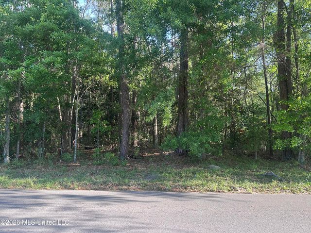 Martin Luther King Boulevard, Moss Point, MS 39563