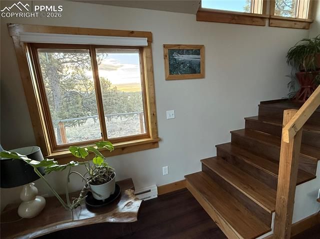 254 E Cobb Lane, Guffey, CO 80820