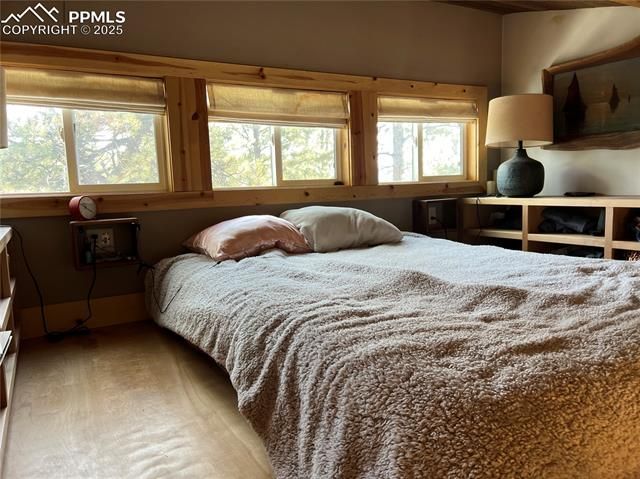 254 E Cobb Lane, Guffey, CO 80820