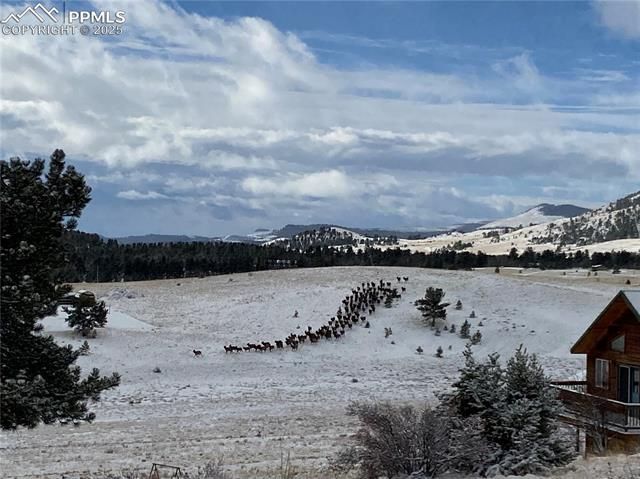 254 E Cobb Lane, Guffey, CO 80820