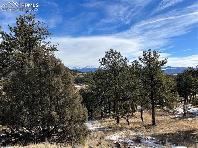254 E Cobb Lane, Guffey, CO 80820