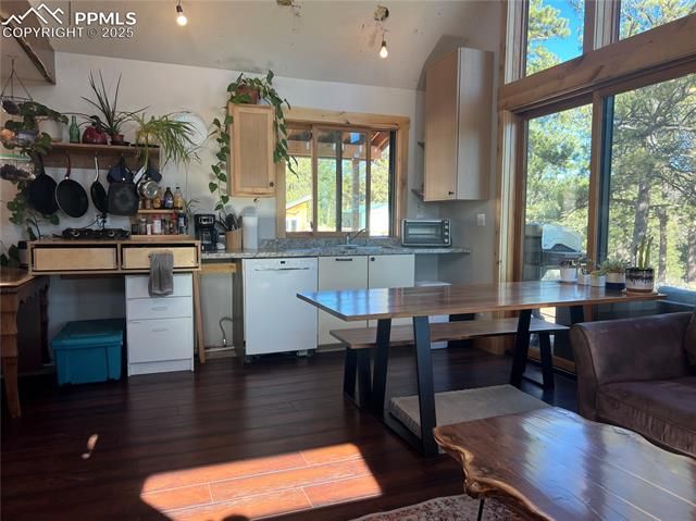 254 E Cobb Lane, Guffey, CO 80820