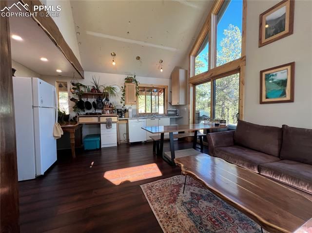 254 E Cobb Lane, Guffey, CO 80820