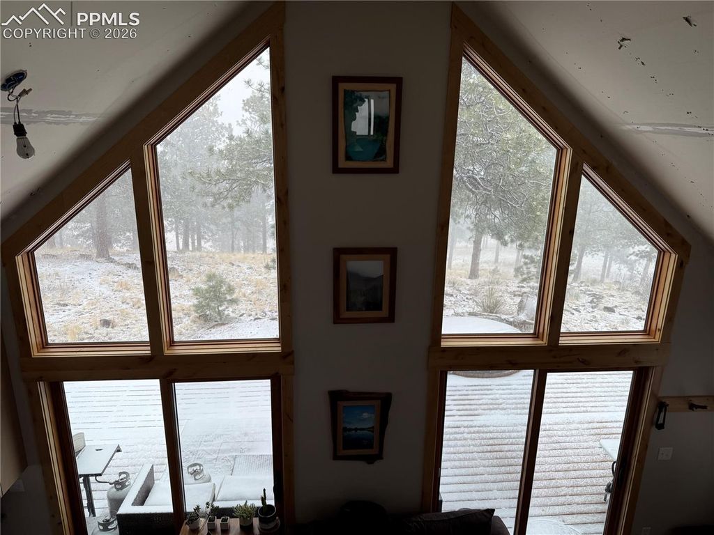 254 E Cobb Lane, Guffey, CO 80820 — photo 4