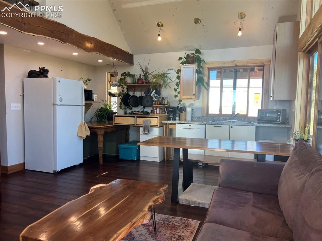 254 E Cobb Lane, Guffey, CO 80820 — photo 5