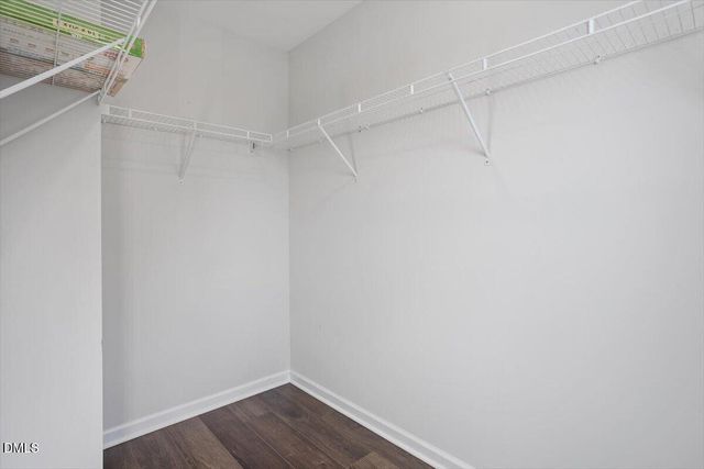 206 Bowerbank Lane, Apex, NC 27539