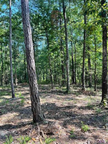 TBD Mack Ln, Clinton, LA 70722