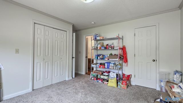 10025 Willow Cove Road, Huntsville, AL 35803