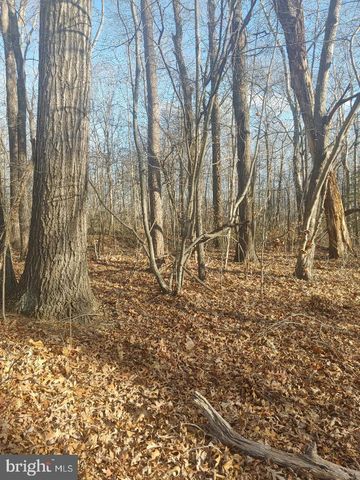 LOT 2 RIXEYVILLE RD. RTE 229, ADJ TO LOT 1, Culpeper, VA 22701