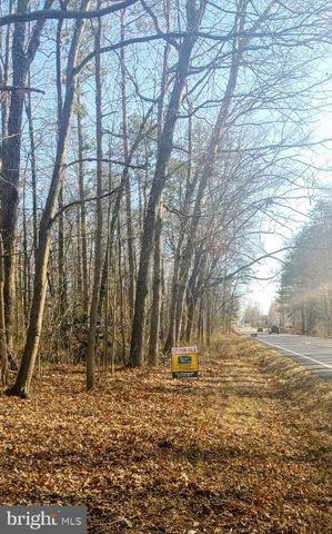LOT 2 RIXEYVILLE RD. RTE 229, ADJ TO LOT 1, Culpeper, VA 22701