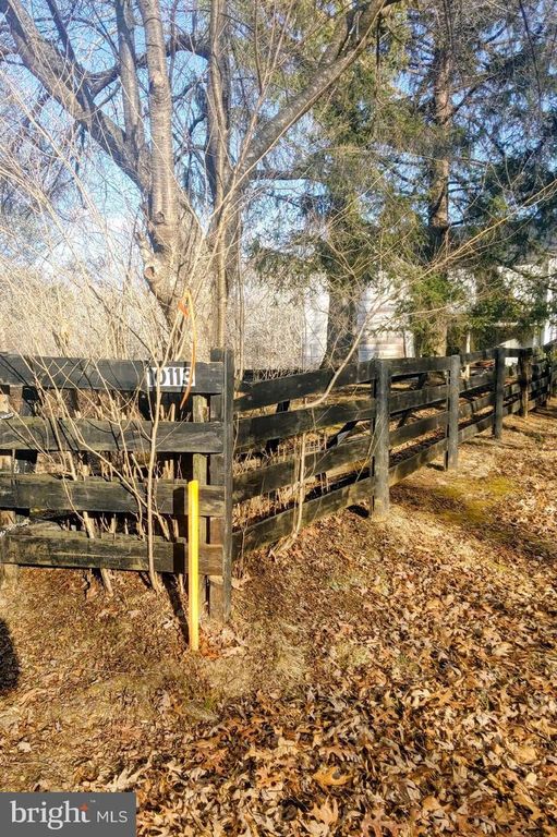 LOT 2 RIXEYVILLE RD. RTE 229, ADJ TO LOT 1, Culpeper, VA 22701