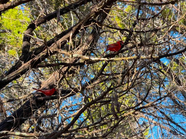 545-561 Lake Park Loop, Canyon Lake, TX 78133