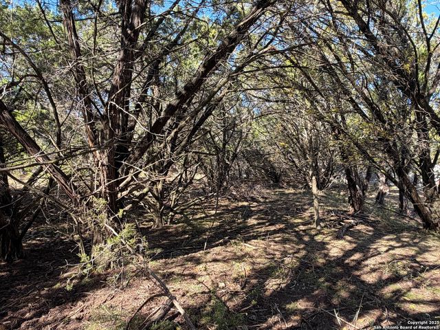 545-561 Lake Park Loop, Canyon Lake, TX 78133