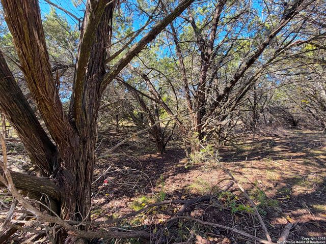 545-561 Lake Park Loop, Canyon Lake, TX 78133