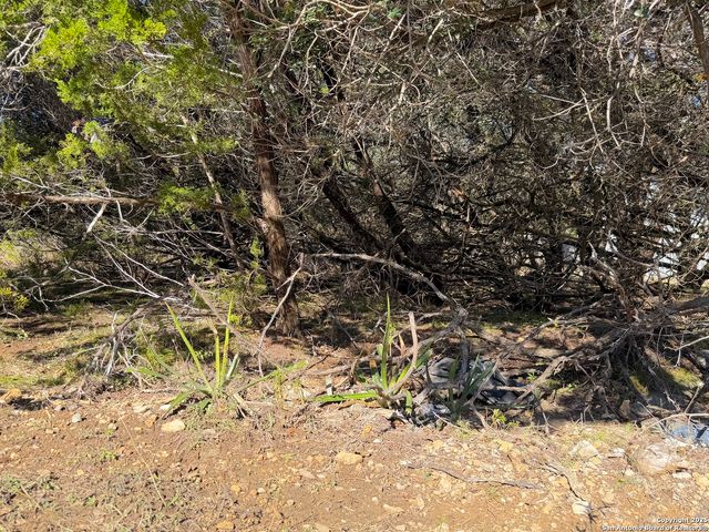 545-561 Lake Park Loop, Canyon Lake, TX 78133