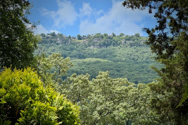 4216 Seneca, Chattanooga, TN 37409