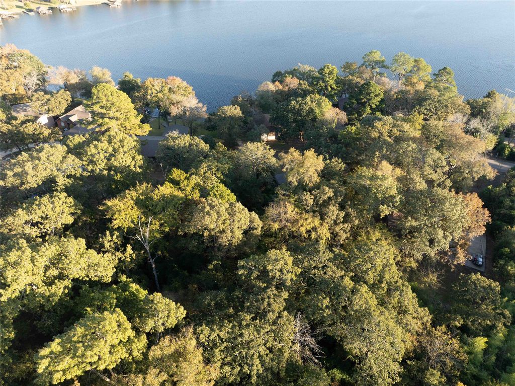 000 Callender Lake Drive, Murchison, TX 75778