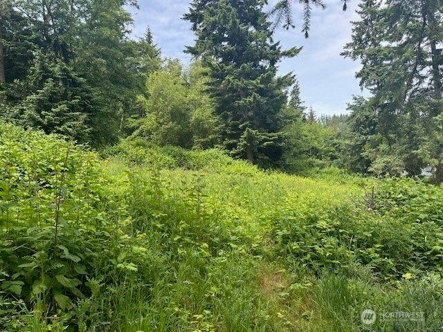 1823 Polnell Road, Oak Harbor, WA 98277