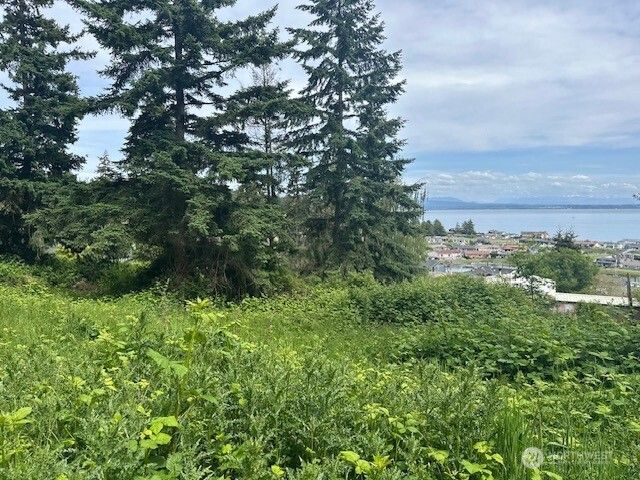1823 Polnell Road, Oak Harbor, WA 98277