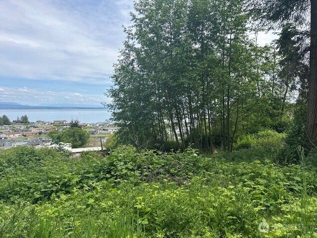 1823 Polnell Road, Oak Harbor, WA 98277