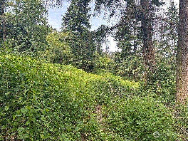 1823 Polnell Road, Oak Harbor, WA 98277