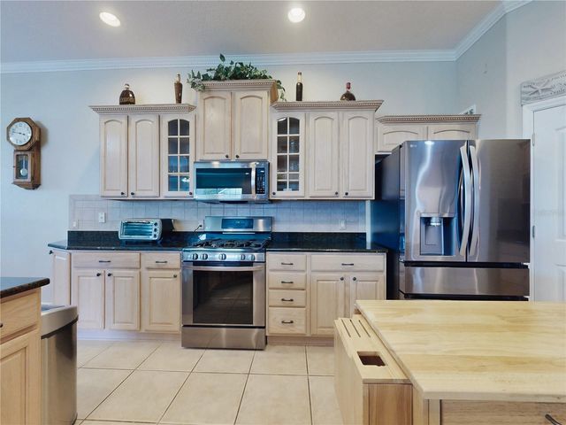649 TERNBERRY FOREST DRIVE, The Villages, FL 32162