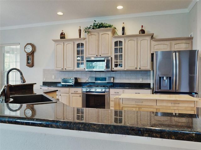 649 TERNBERRY FOREST DRIVE, The Villages, FL 32162
