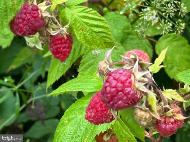 16756 MOUNT AIRY RD, Shrewsbury, PA 17361