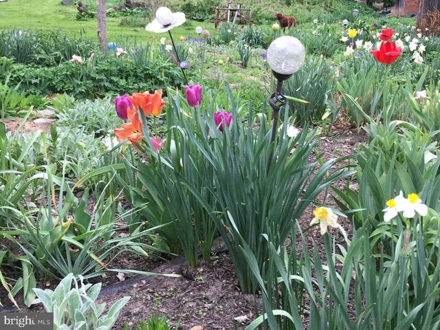 16756 MOUNT AIRY RD, Shrewsbury, PA 17361