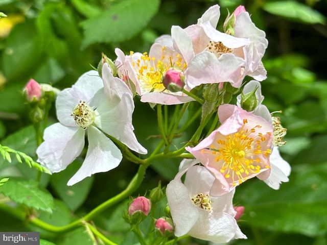 16756 MOUNT AIRY RD, Shrewsbury, PA 17361