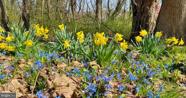 16756 MOUNT AIRY RD, Shrewsbury, PA 17361