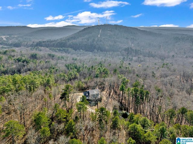 1002 LONG LEAF TRAIL, Warrior, AL 35180