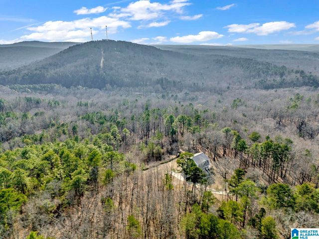 1002 LONG LEAF TRAIL, Warrior, AL 35180