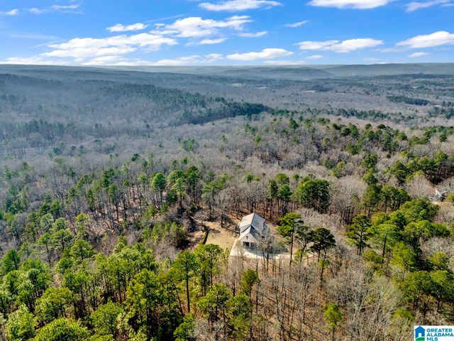 1002 LONG LEAF TRAIL, Warrior, AL 35180